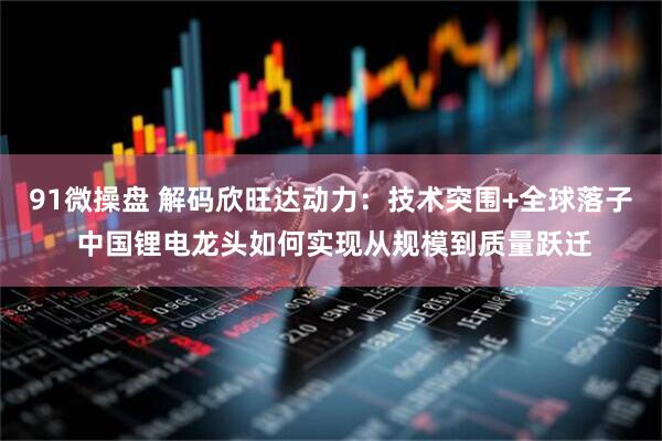 91微操盘 解码欣旺达动力：技术突围+全球落子 中国锂电龙头如何实现从规模到质量跃迁