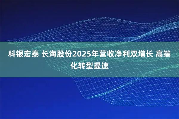 科银宏泰 长海股份2025年营收净利双增长 高端化转型提速