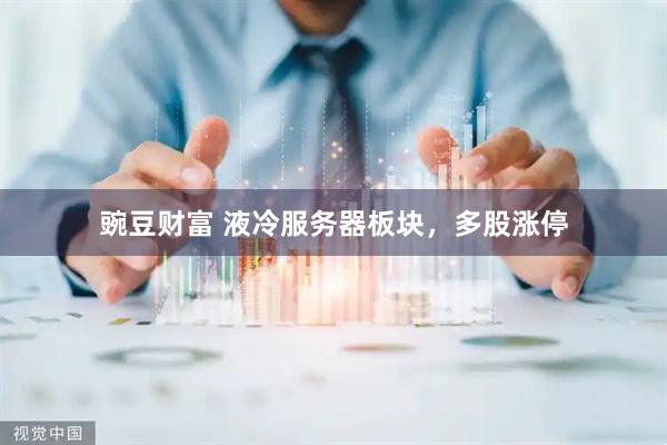 豌豆财富 液冷服务器板块，多股涨停