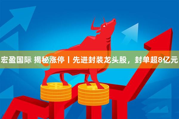 宏盈国际 揭秘涨停丨先进封装龙头股，封单超8亿元